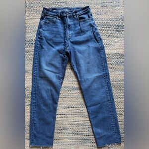 American Eagle Outfitters High Rise Jeans - Blue